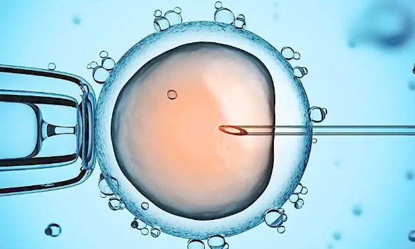 上海第一妇幼三代试管流程:助您圆梦幸福家庭