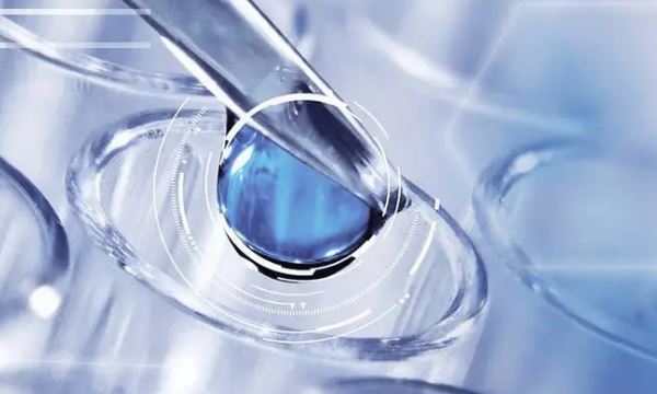 上海试管婴儿机构大揭秘:助您实现生育梦想
